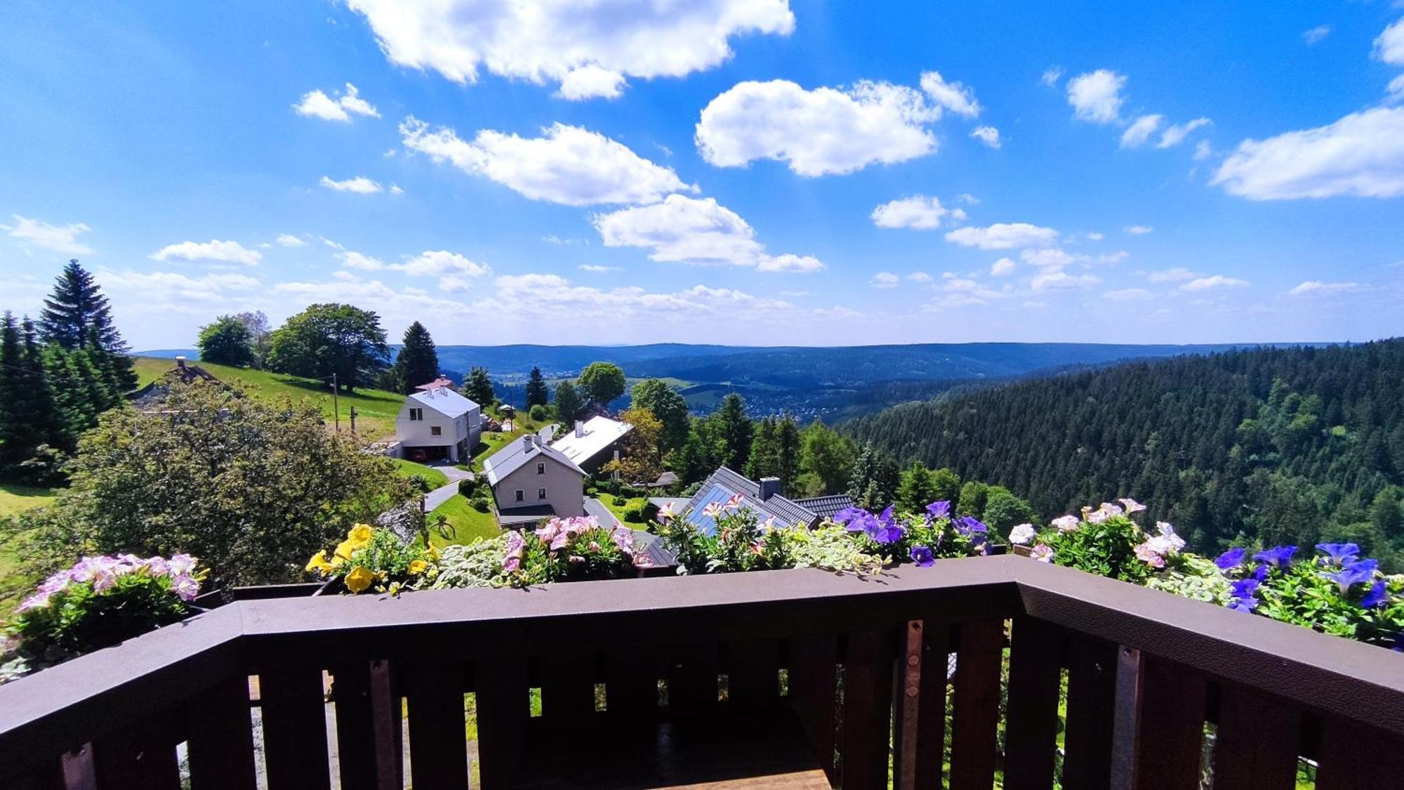 Berggasthaus & Pension Schoene Aussicht Клингенталь Экстерьер фото
